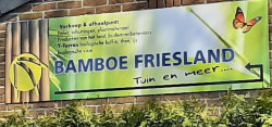 Afbeelding invoegen
